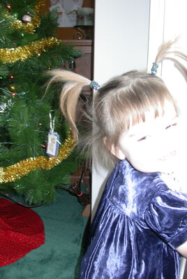 DSCN0390.JPG