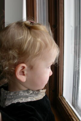 DSCN0391.JPG
