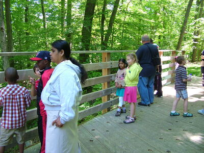 DSCF11217.JPG
