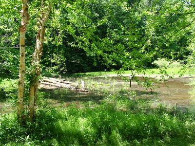 DSCF11219.JPG
