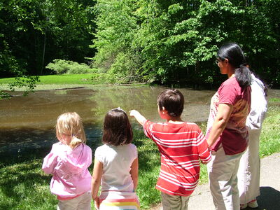 DSCF11220.JPG