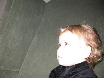 DSCN0461.jpg