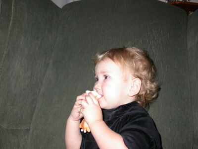 DSCN0464.jpg