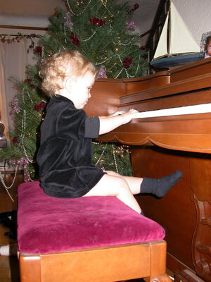 DSCN0489.jpg
