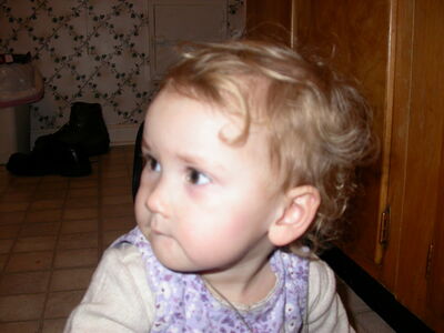 DSCN0668.jpg
