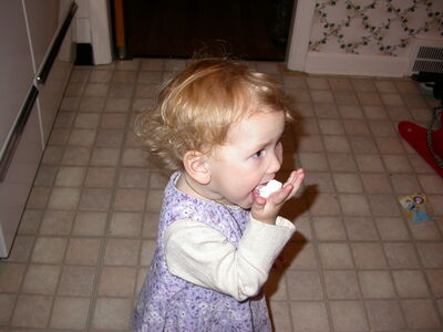 DSCN0674.jpg