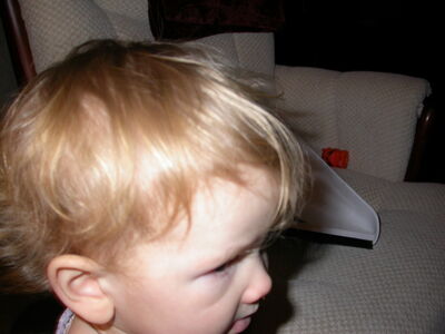 DSCN0693.jpg