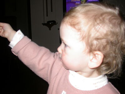 DSCN0766.jpg
