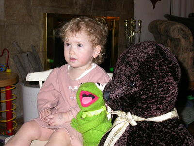 DSCN0829.jpg