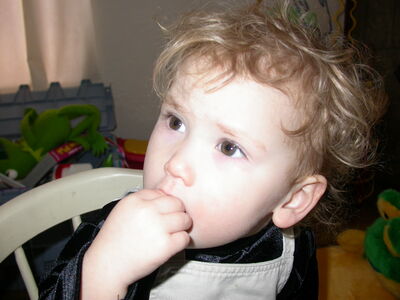 DSCN0848.jpg