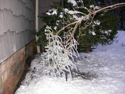 DSCN0861.jpg