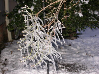 DSCN0862.jpg