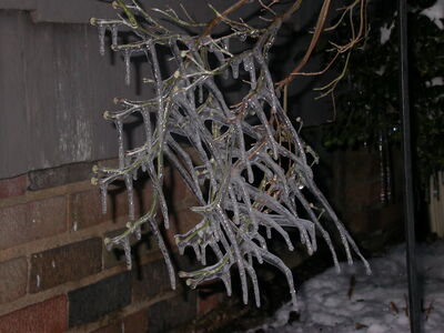 DSCN0863.jpg