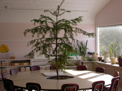 DSCN0919.JPG