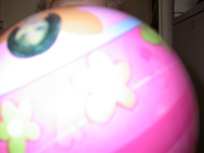 DSCN0950.JPG