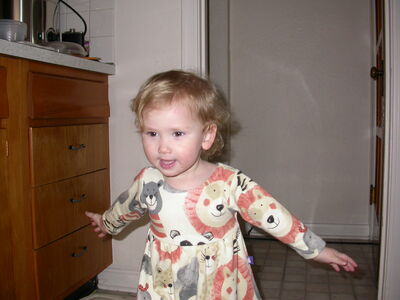 DSCN0951.JPG