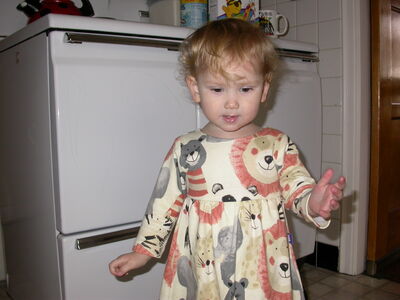 DSCN0955.JPG