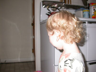 DSCN0960.JPG