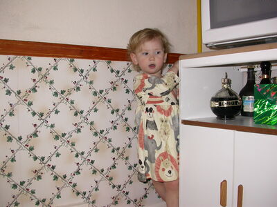 DSCN0966.JPG