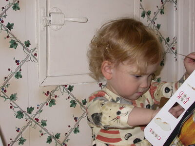 DSCN0971.JPG