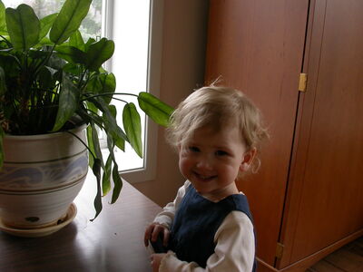 DSCN0984.JPG