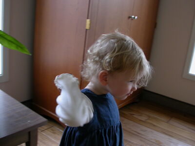 DSCN0985.JPG