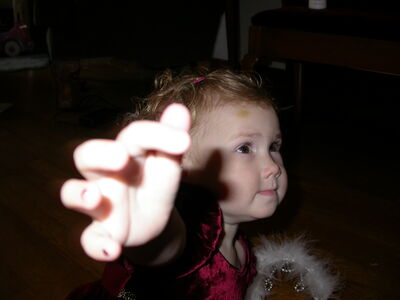 DSCN1038.JPG