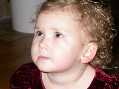 DSCN1041.JPG