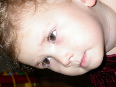 DSCN1049.JPG