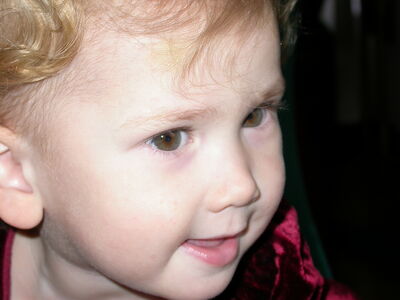 DSCN1087.JPG