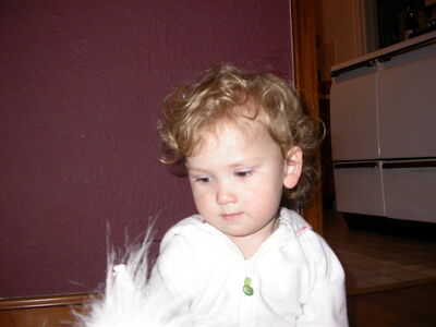 DSCN1100.JPG