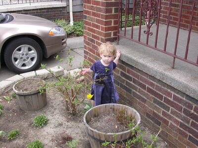 DSCN1017.JPG