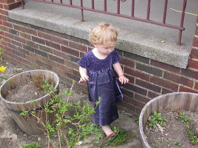 DSCN1019.JPG
