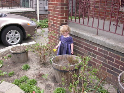 DSCN1020.JPG