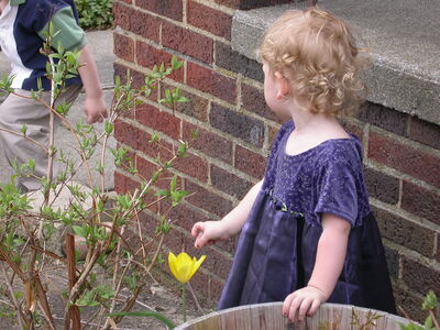 DSCN1021.JPG