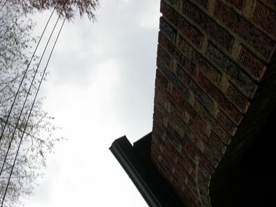 DSCN1031.JPG
