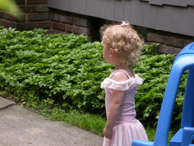 DSCN1496.JPG