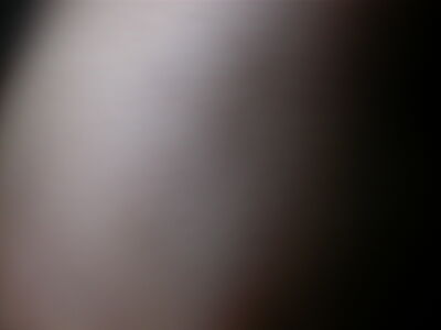 DSCN1589.JPG