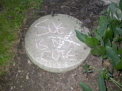 DSCN1639.JPG