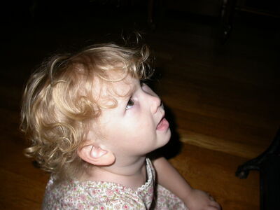 DSCN1445.JPG
