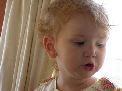DSCN1685.JPG
