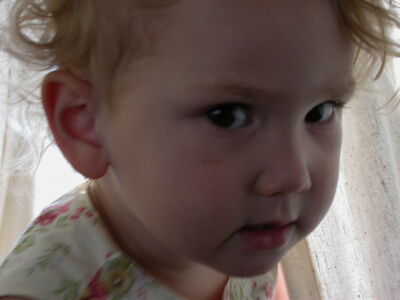 DSCN1688.JPG