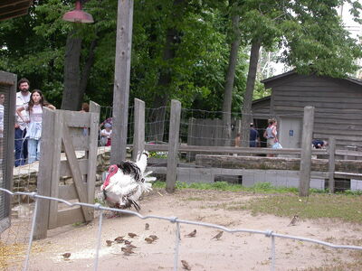 DSCN1798.JPG