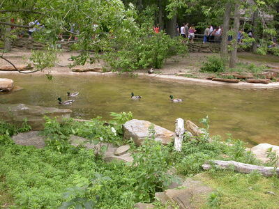 DSCN1804.JPG