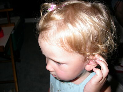 DSCN1964.JPG