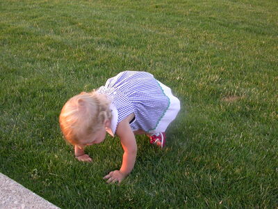 DSCN2004.JPG