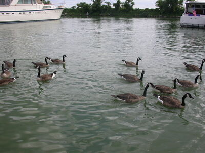 DSCN2103.JPG