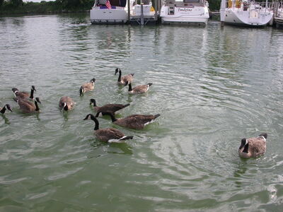 DSCN2104.JPG