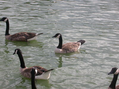 DSCN2105.JPG