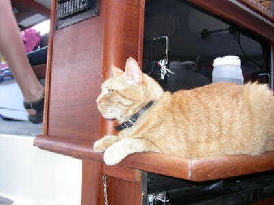 DSCN2110.JPG